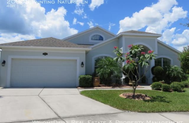 20003 Painting Nature Ln Tampa Fl Apartments For Rent