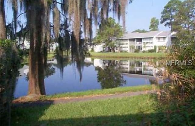 6036 Peregrine Avenue Orlando Fl Apartments For Rent