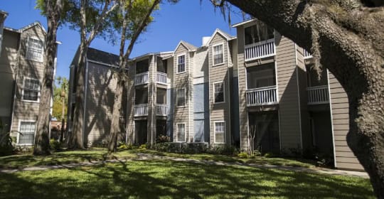 20 best apartments near usf main campus (with pictures)!