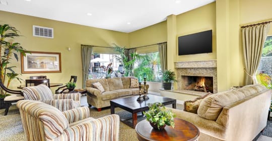 top 45 studio apartments for rent in la mesa ca