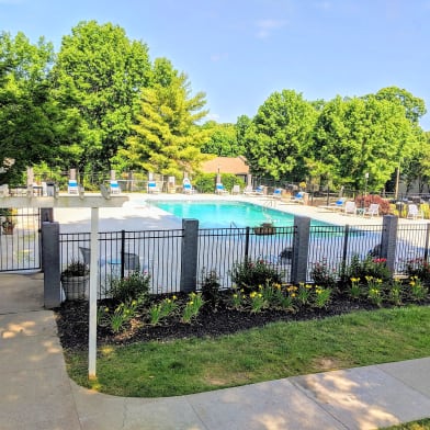 Element At Cedar Bluff Apartments For Rent