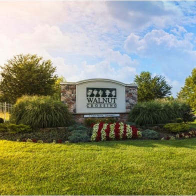 Spruce Court Apartments Apartments For Rent
