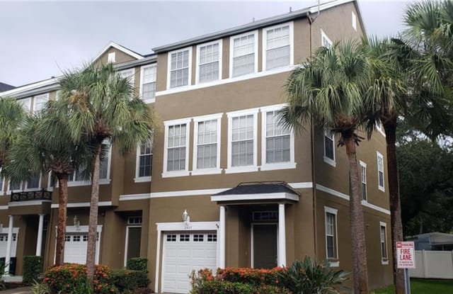 2927 Bayshore Pointe Drive Tampa Fl Apartments For Rent