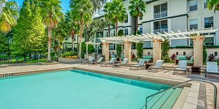 100 best furnished apartments in tampa fl with pictures