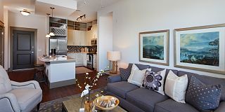 100 best apartments for rent in tampa fl with pictures