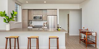 100 best furnished apartments in seattle wa with pics