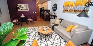 100 best apartments in seattle wa with pictures