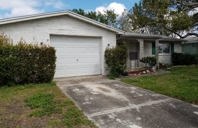 7015 Castanea Dr Jasmine Estates Fl Apartments For Rent