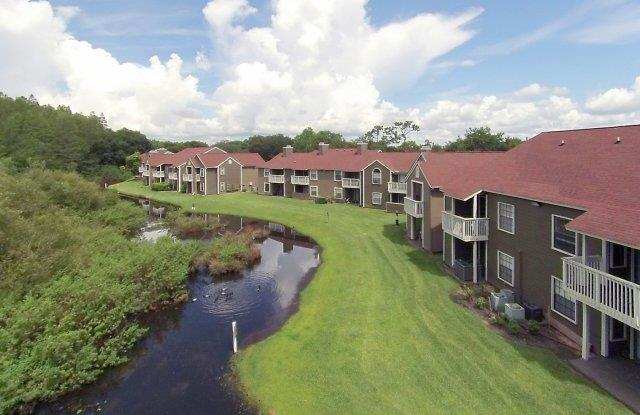 St James Crossing Apartments Carrollwood Fl Apartments For Rent