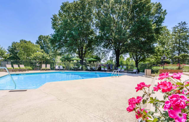 Nob Hill Apartments Nashville Tn Apartments For Rent