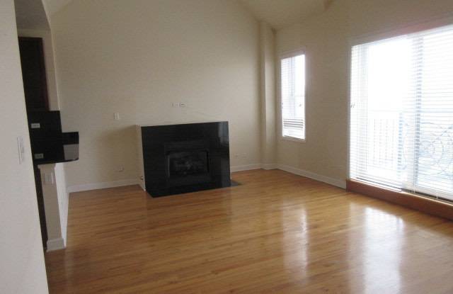 1021 South Western Avenue Chicago Il Apartments For Rent