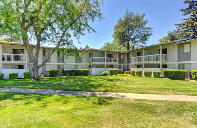 Renaissance Park Davis Ca Apartments For Rent