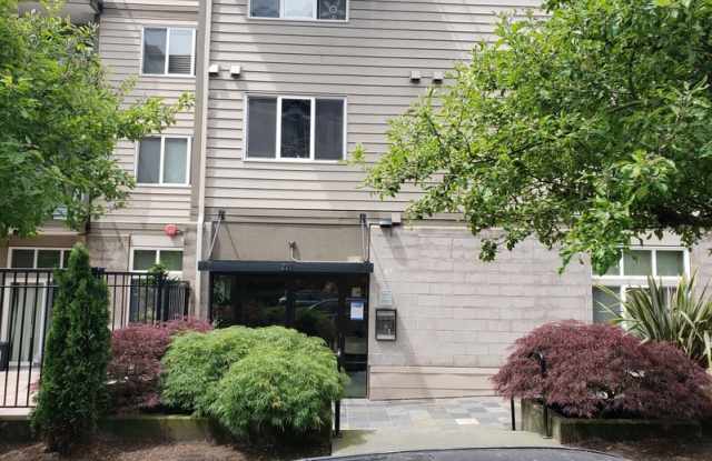 231 Belmont Ave E Seattle Wa Apartments For Rent