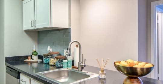 Apartment List Best Pet Friendly Apartments For Rent Near You