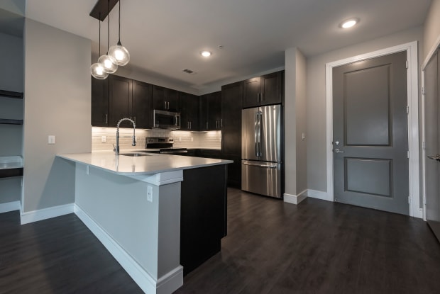 Canal 1535 New Orleans La Apartments For Rent