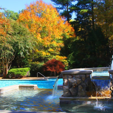 Ashford 6860 Apartments For Rent