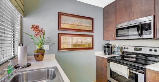 top 45 studio apartments for rent in la mesa ca