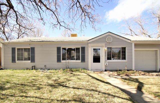 Doggy Daycare Dog Daycare Denver Metro From The Big Backyard