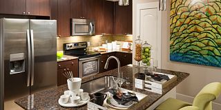 100 best furnished apartments in dallas tx with pics