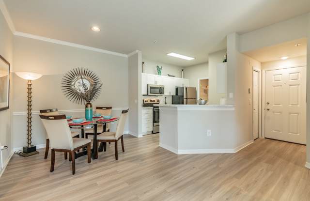 Portofino Tampa Fl Apartments For Rent