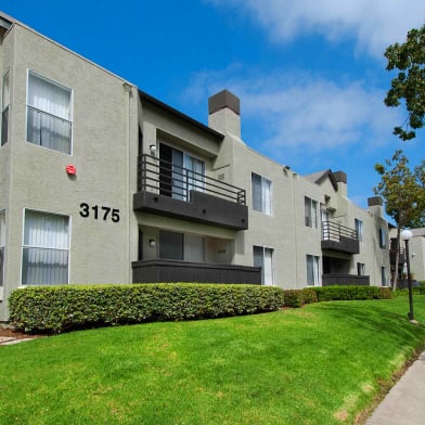 Vantage Pointe Apartments For Rent