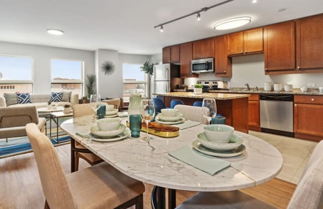 Renew Five Ninety Five Des Plaines Il Apartments For Rent