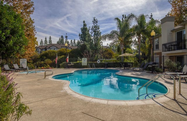 Bellecour Way Apartment Homes Lake Forest Ca Apartments For Rent