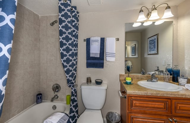 Venue At Winter Park Winter Park Fl Apartments For Rent