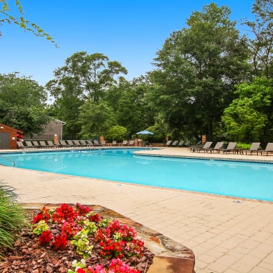 Aspire Perimeter Apartments For Rent