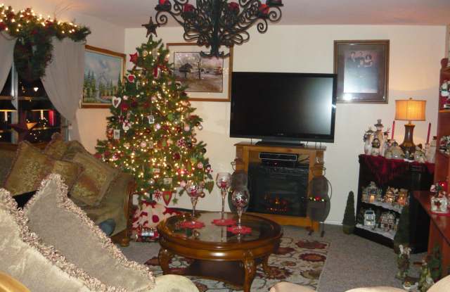 The Village At Carlsbad Carlsbad Nm Apartments For Rent