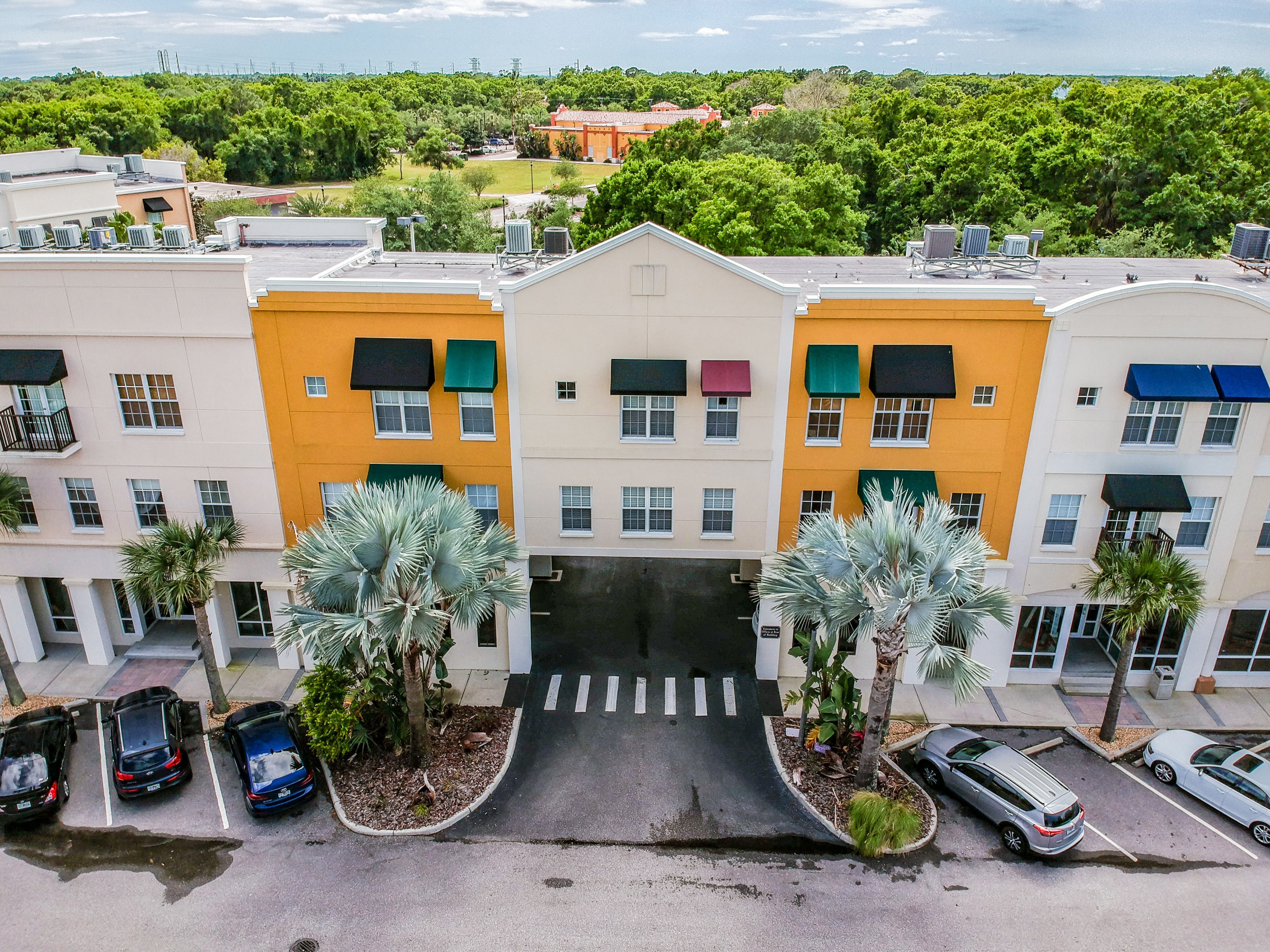 300 State St E Apt 321 Oldsmar, FL apartments for rent