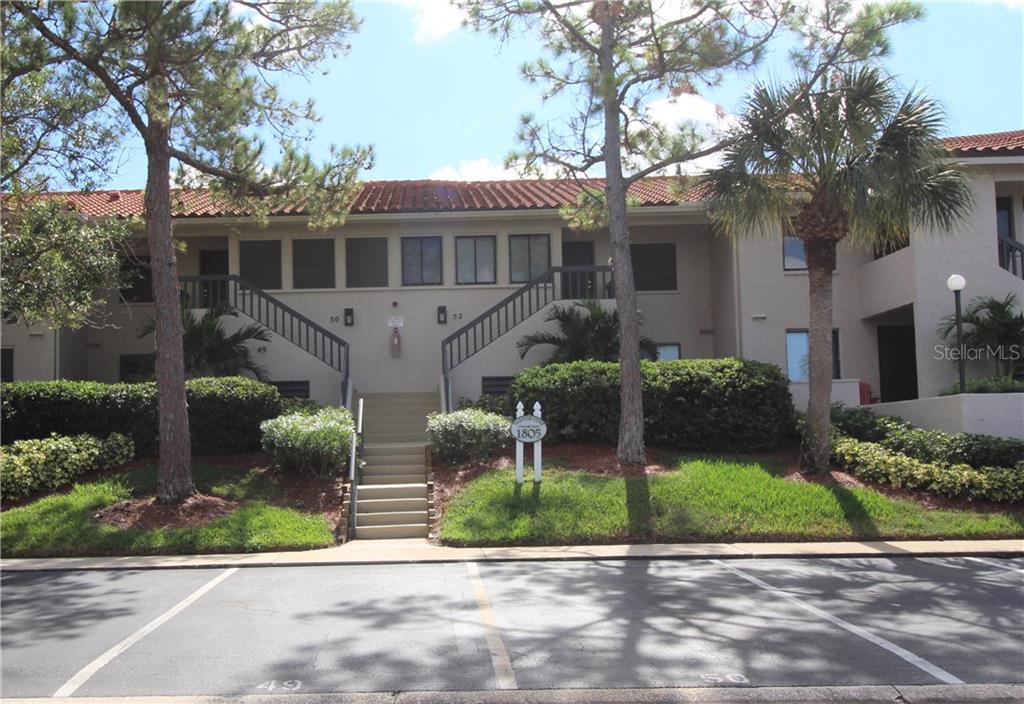 1805 MARINER DRIVE Tarpon Springs, FL apartments for rent