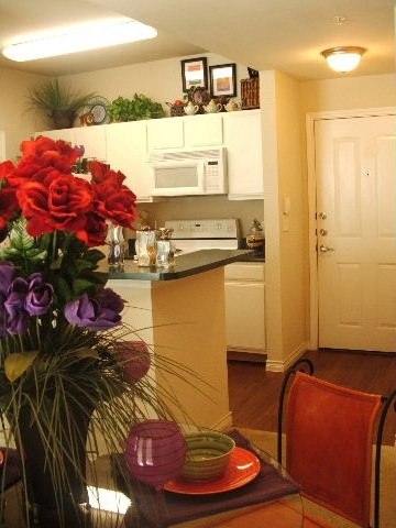 20 best apartments in downtown san antonio san antonio