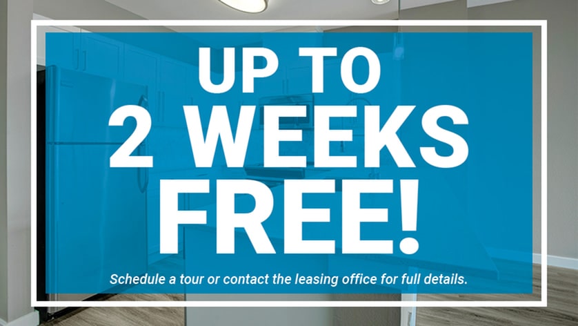 20 Best Apartments In Belltown Seattle Wa P 4