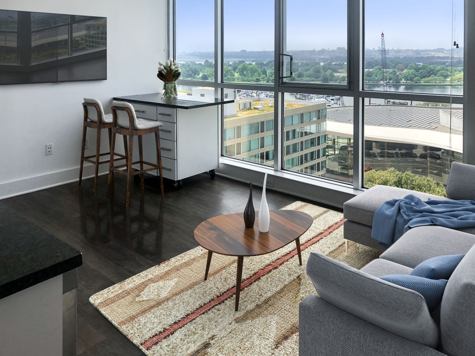 100 Best Apartments In Washington Dc With Pictures