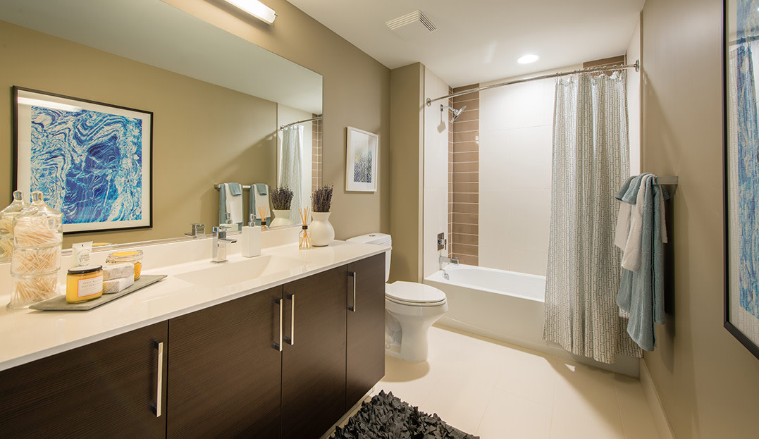 48 Best Apartments In Arlington VA With Pictures Mesmerizing 2 Bedroom Apartments In Arlington Va Exterior Interior 48 Best Apartments In Arlington VA With Pictures Mesmerizing 2 Bedroom Apartments In Arlington Va Exterior Interior