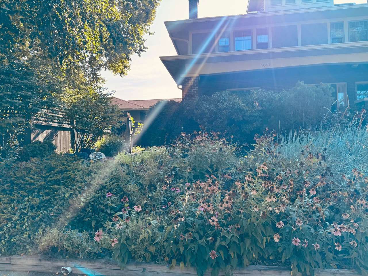 Historical Duplex - Spacious 3 Bedroom, 2.5 Bath Duplex with fenced in private patio.