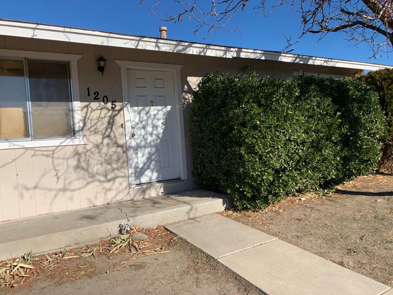 Rare 1 bedroom detached home with yard