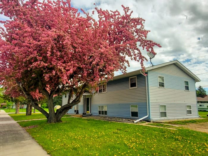 1020 Alexander Street