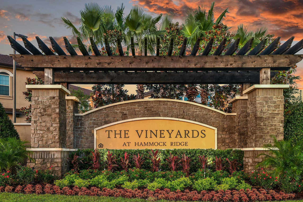 The Vineyards at Hammock Ridge