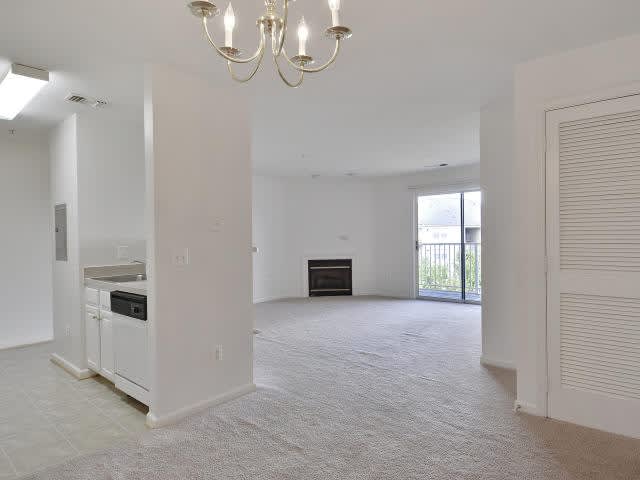 Ashburn Meadows