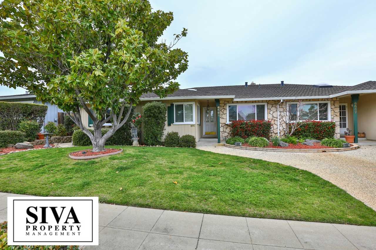 Almaden Beauty