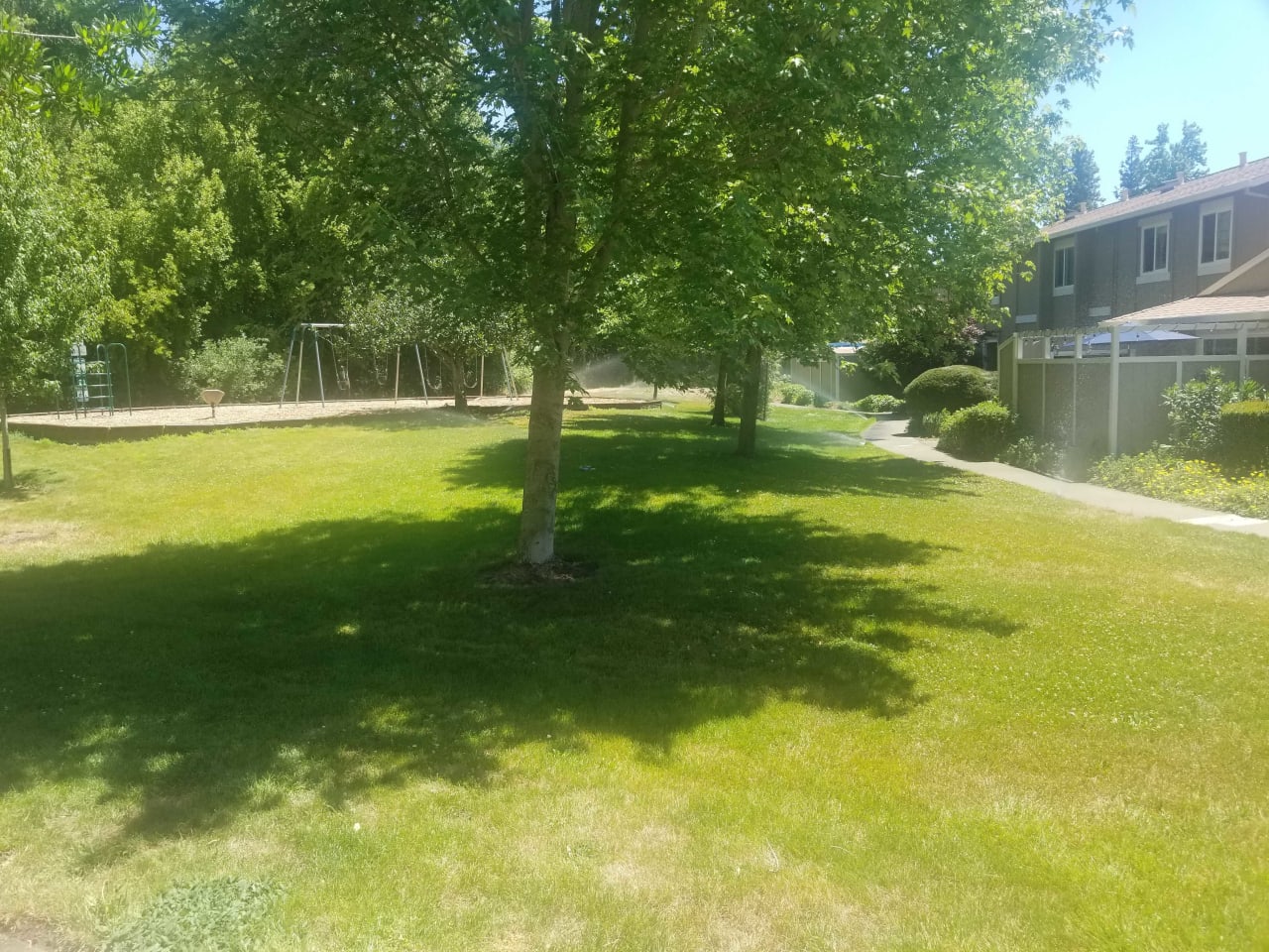 116 Oliva Ct