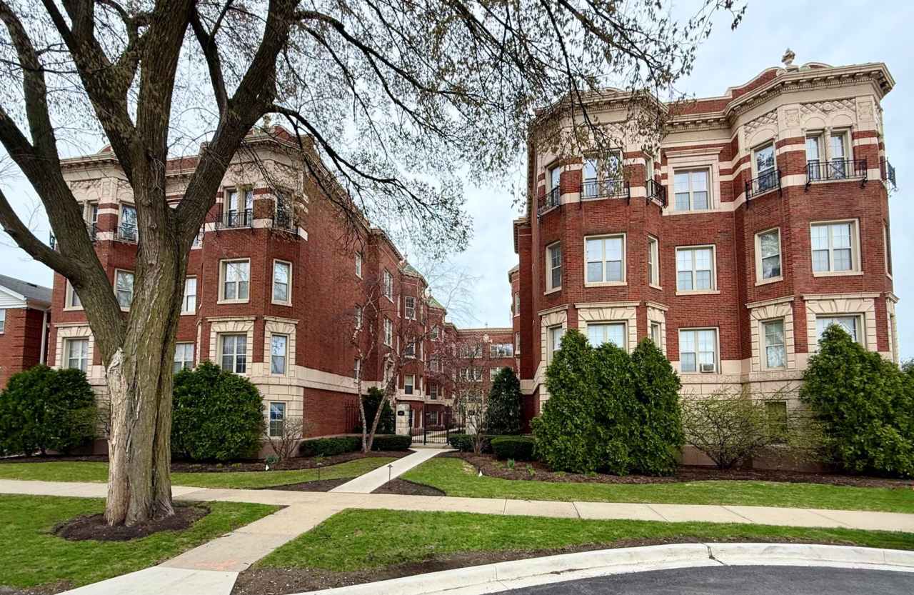 Vibrant Oak Park 1 Bed / 1 Bath Condo For Rent. Heat, Water, and Storage INCLUDED In Rent!