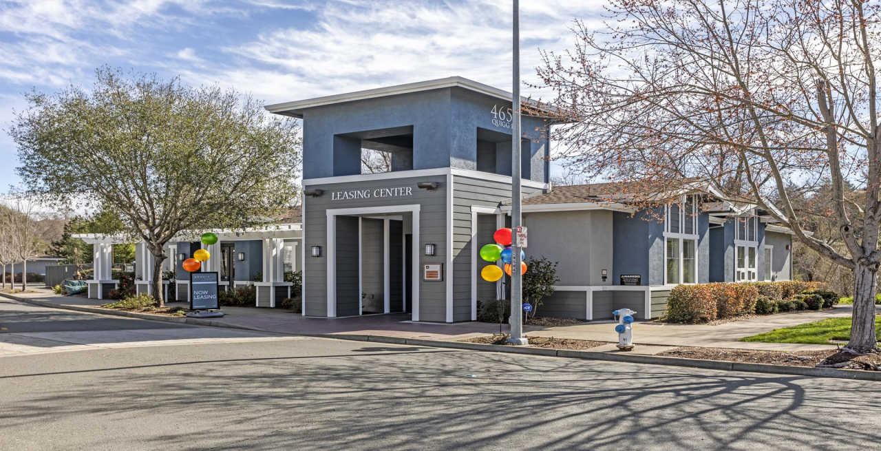 Acacia on Santa Rosa Creek