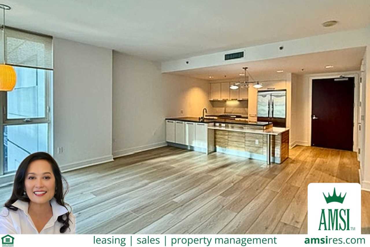 2BR 2BA @ The BLU in SOMA/South Beach -AMSI