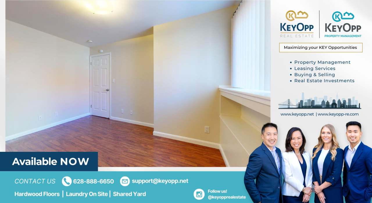 384 Chester Street - Lower