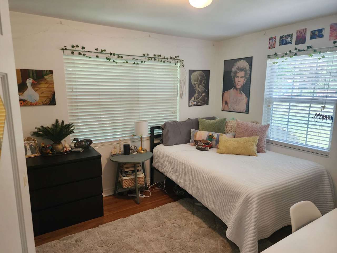 4 bedroom house available near UF campus