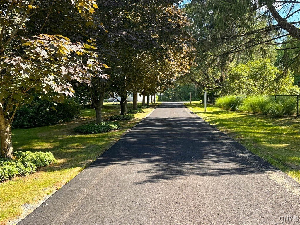 97 1/2 Sanger Avenue