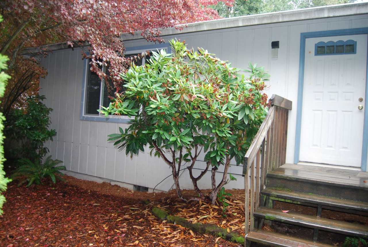 Charming 2 Bedroom 1.5 Bathroom in Tigard